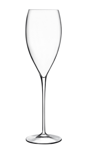 Champagneglas Magnifico 32 cl - Transparent 4 stykker