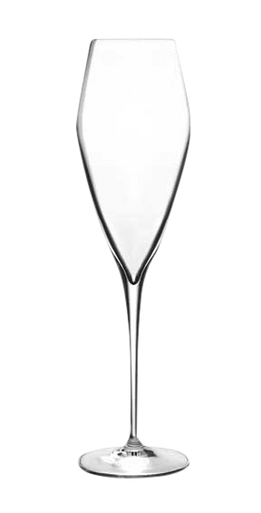 Champagneglas Atelier 27 cl - Transparent 6 stk.