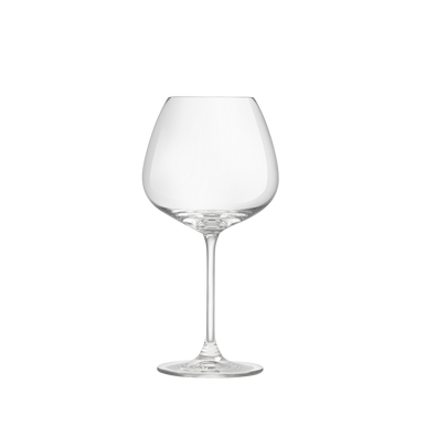 Vinglas Experts Collection 55 cl 6 stk.