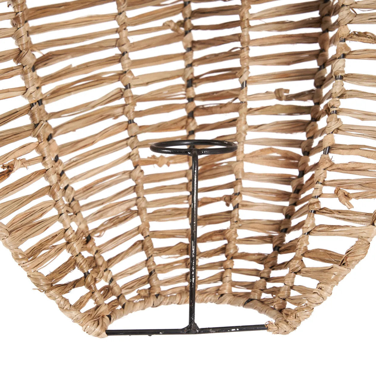 Avanti wall art - Nature - M