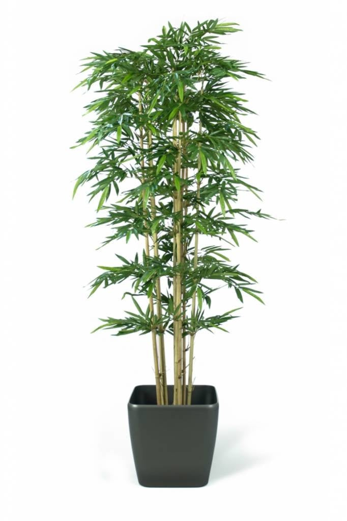 Nordic-Unique-Kunstig-bambusplante-300-cm-brandsikret