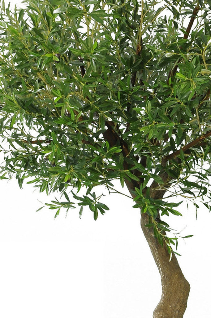 Kunstig oliventræ på 270 cm uden oliven - Nordic Unique