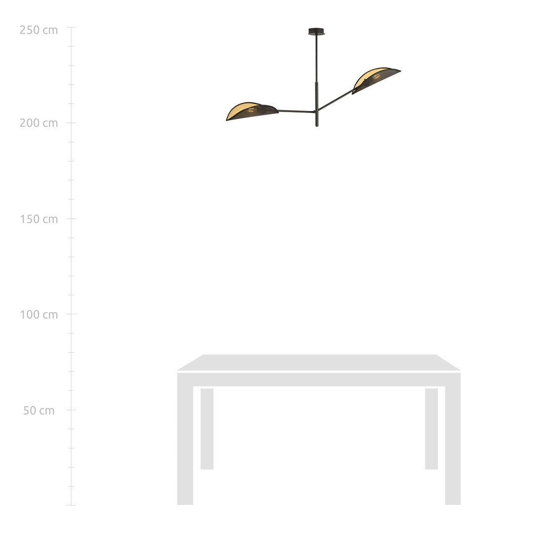 Loftlampe VENE 2 - Sort / Guld - Nordic Unique