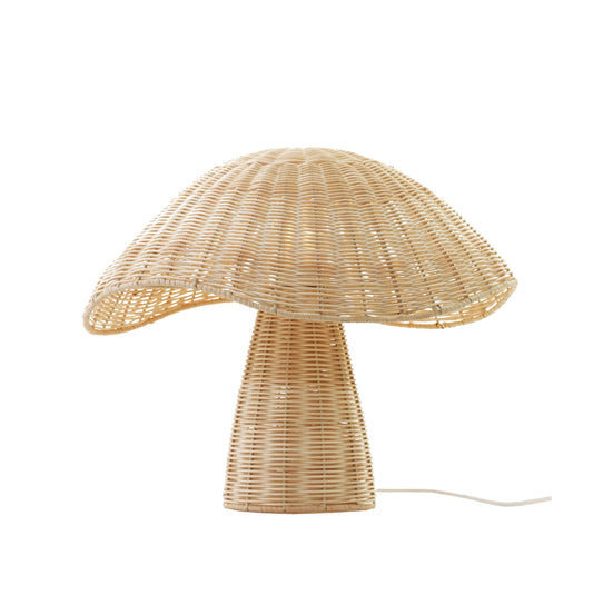 Boletus Bordlampe Svamp Natur
