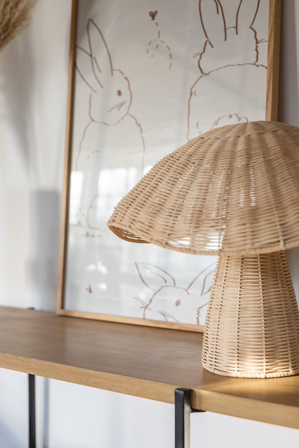 Boletus Bordlampe Svamp Natur
