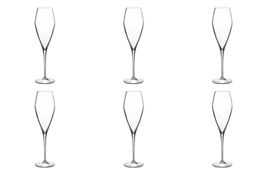 Champagneglas Atelier 27 cl - Transparent 6 stk.