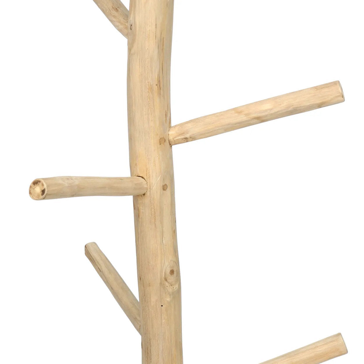 Frakkehænger - Natur