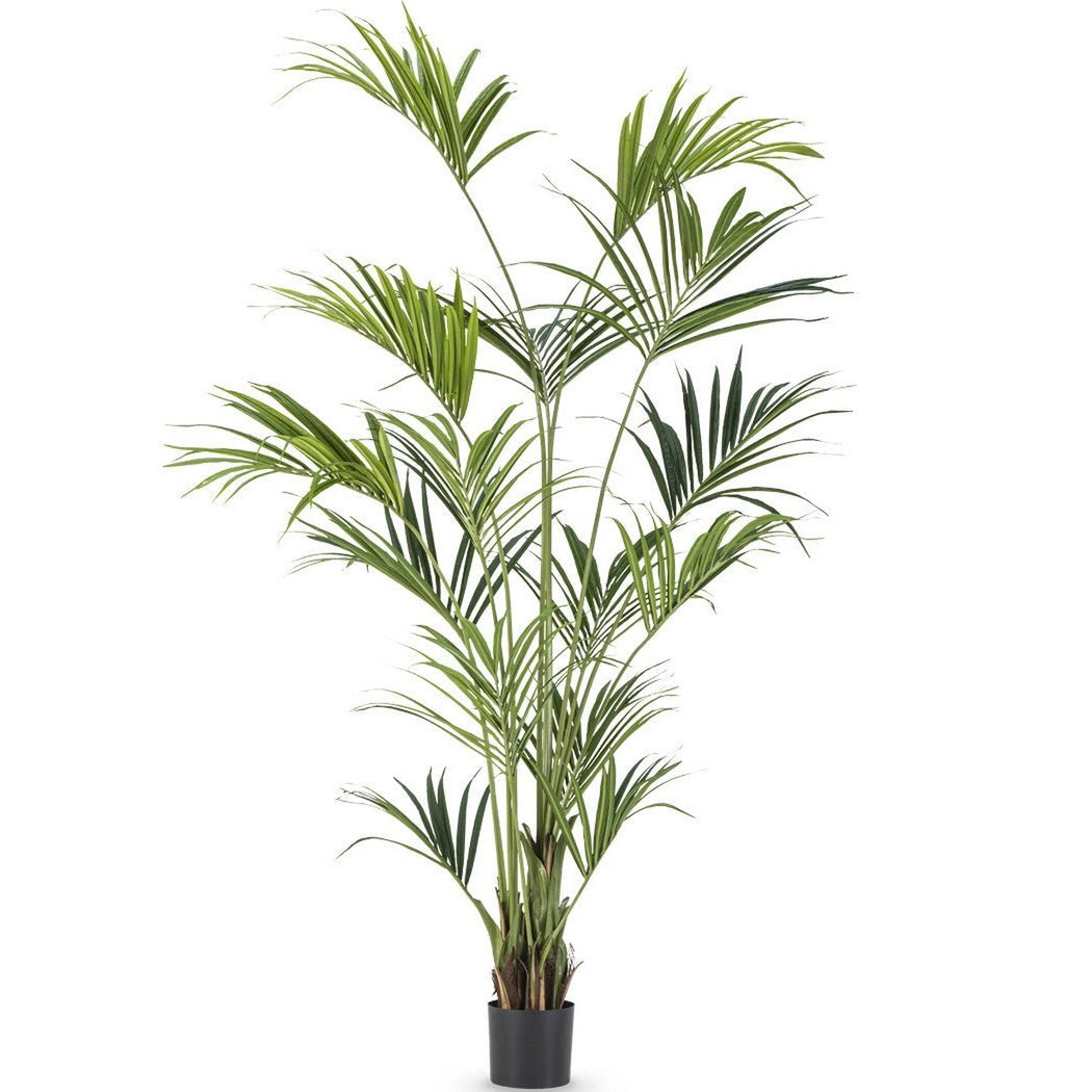 Nordic-Unique-Kunstig-Kentia-Palme-240cm