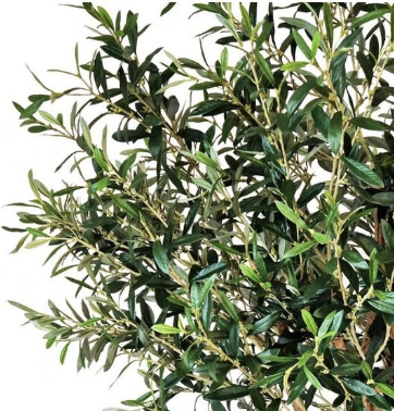 Kunstigt Oliventræ – 190 cm