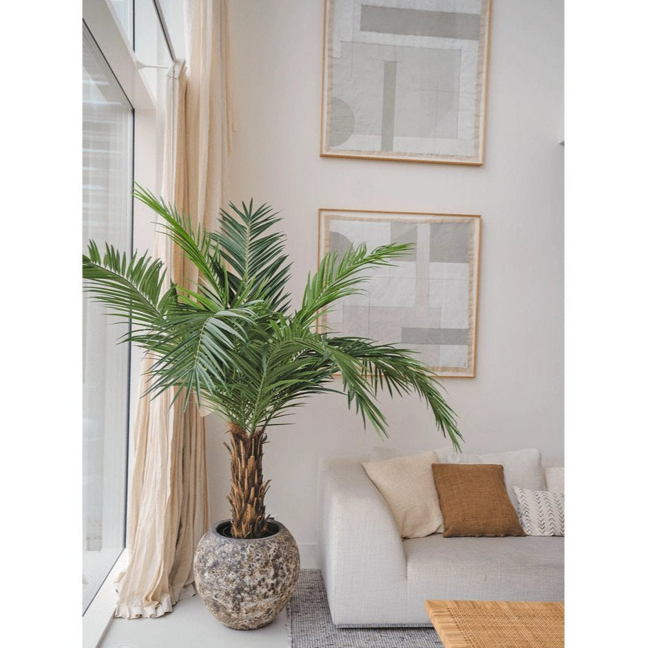 Nordic-Unique-Kunstig-Palme-Phoenix-Canarie-160cm