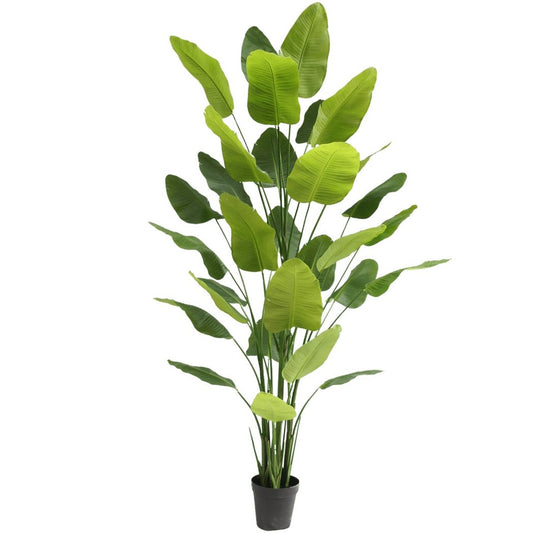 Nordic-Unique-kunstig-Strelitzia-300cm