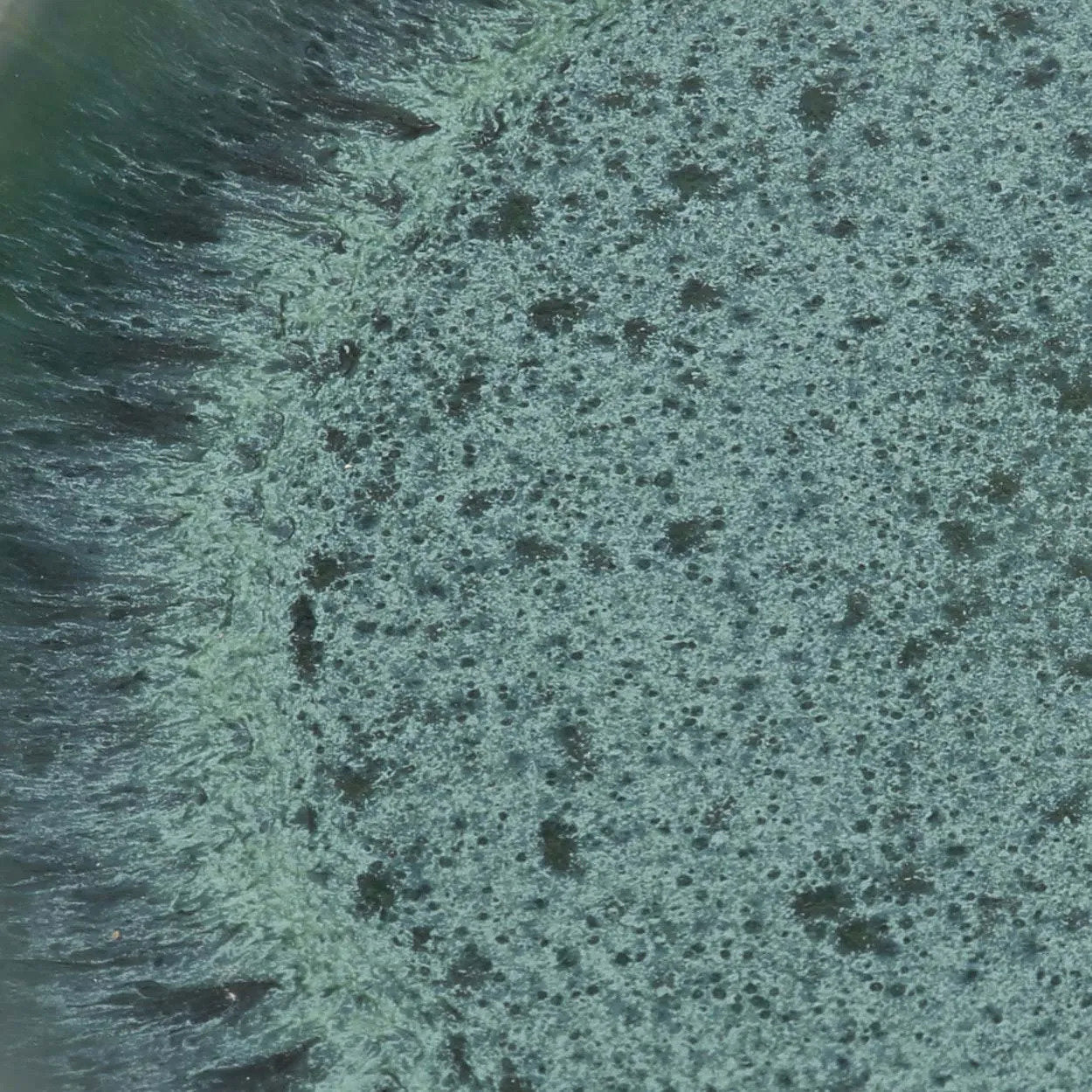 Aqua Middags Tallerken - Sæt med 4 - Nordic Unique