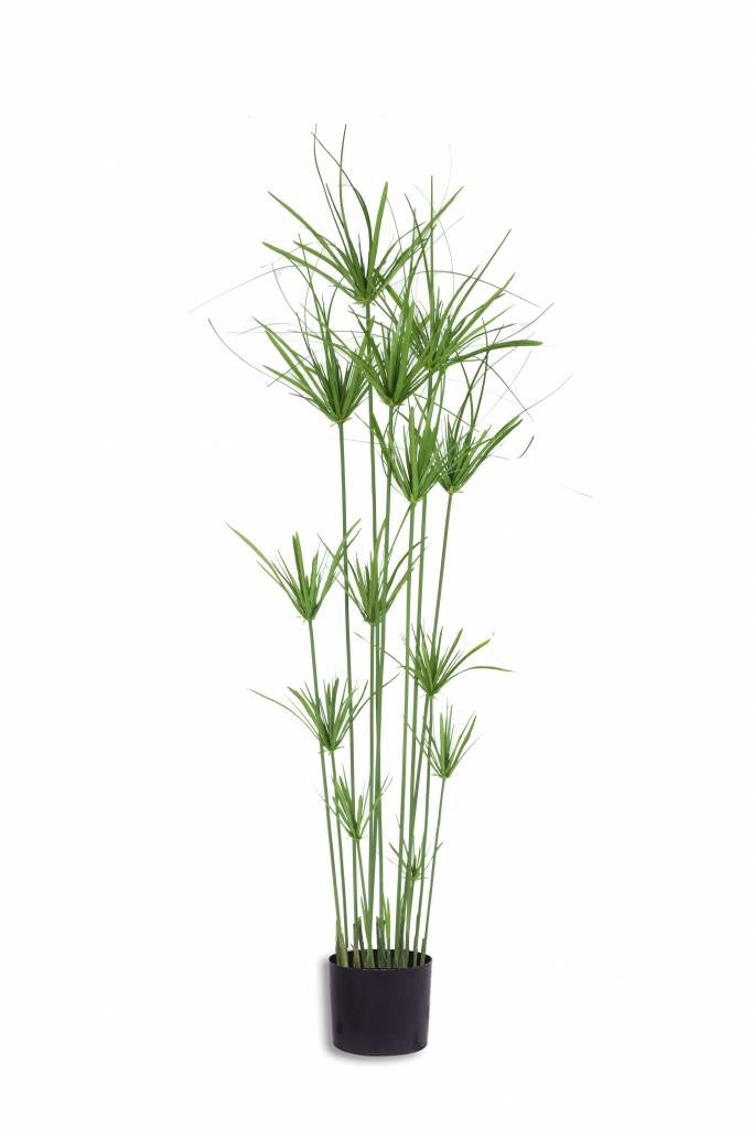 Kunstig græsplante Cyperus 140 cm