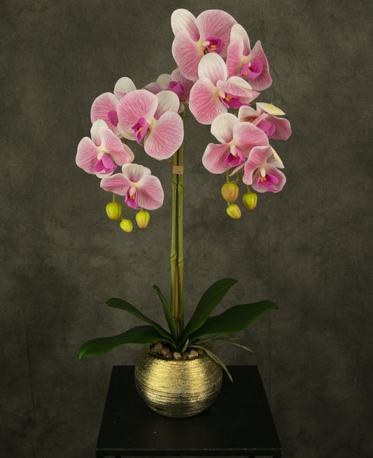 Kunstig orkide 56 cm mørkerød i guldpotte