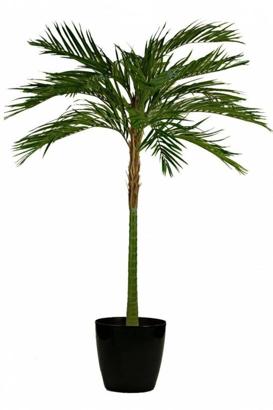 Kunstpalm Areca 200 cm