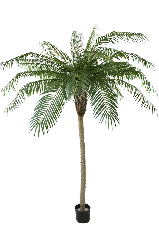 Kunstpalm Phoenix De Luxe 210 cm