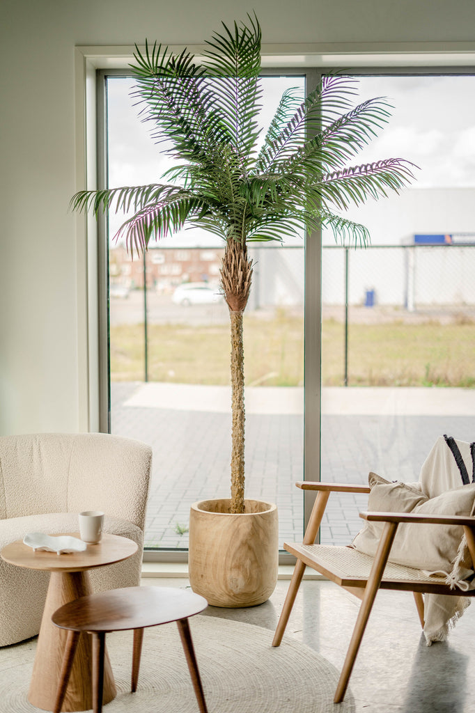 Kunstpalm Phoenix De Luxe 210 cm