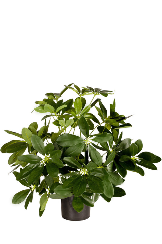 Kunstig plante Baby Schefflera 45 cm