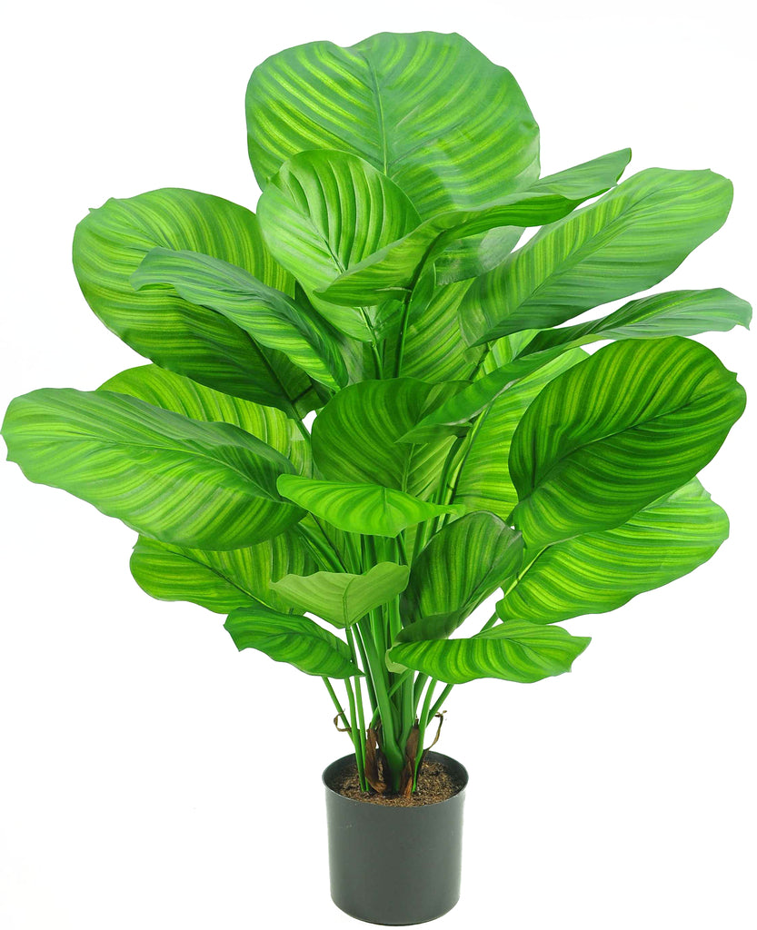 Kunstig plante Calathea 72 cm