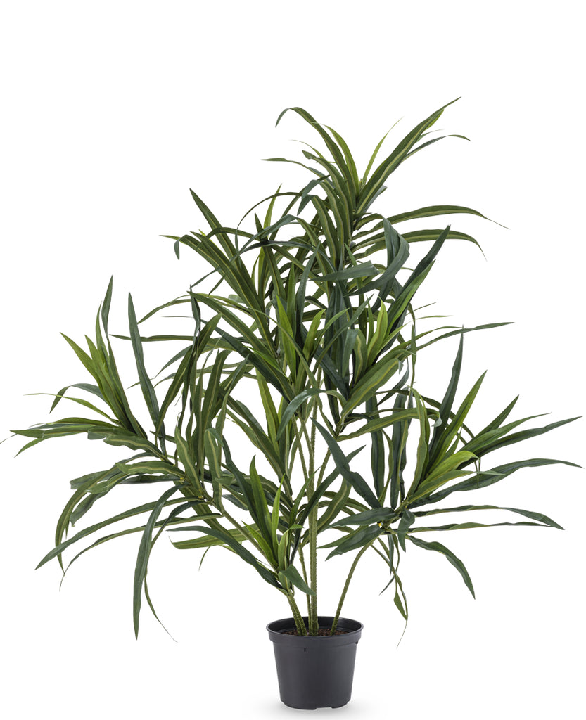 Kunstig Dracaena Reflexa i potte 63 cm