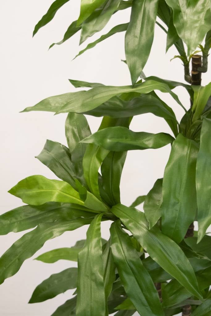 Kunstig Dracena Fragrans plante 150 cm