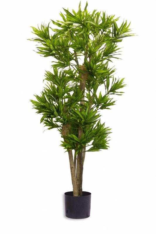 Kunstig Dracena Reflexa plante 150 cm