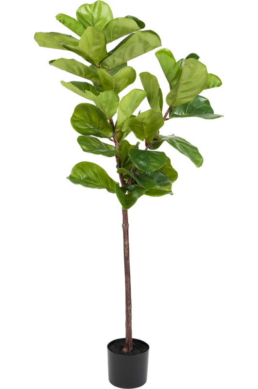 Kunstig Ficus Tobaksplante 150 cm