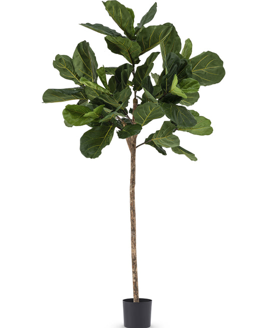 Kunstig Fiddle Leaf-plante 225 cm