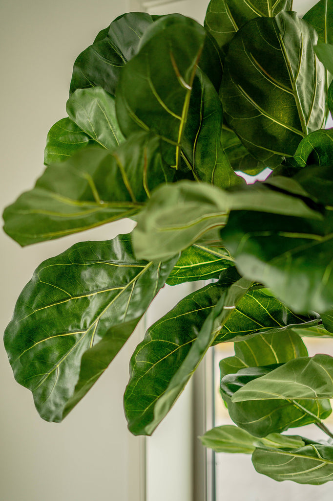 Kunstig Fiddle Leaf-plante 225 cm