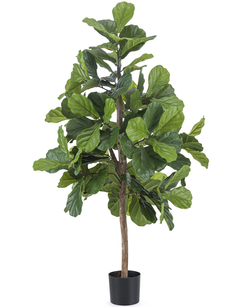 Kunstig Fiddle Leaf Tree 150 cm