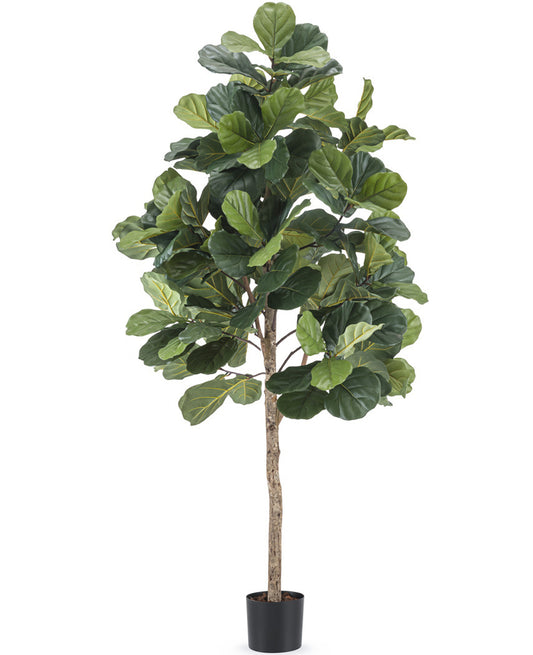 Kunstig Fiddle Leaf Tree 180 cm