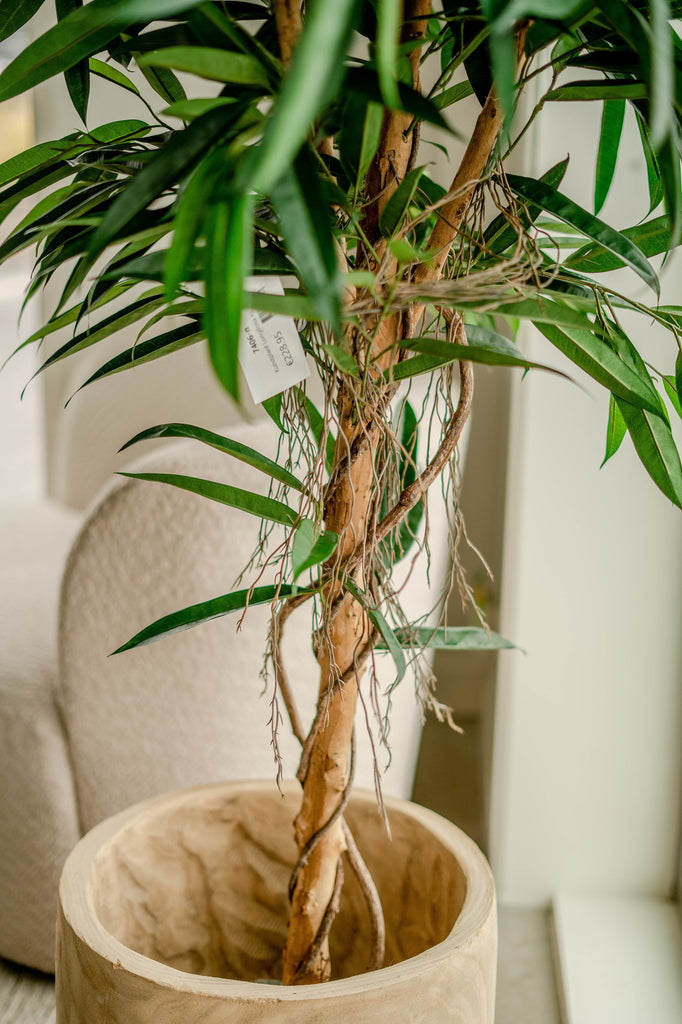 Kunstig plante Longifolia Royaal 150 cm