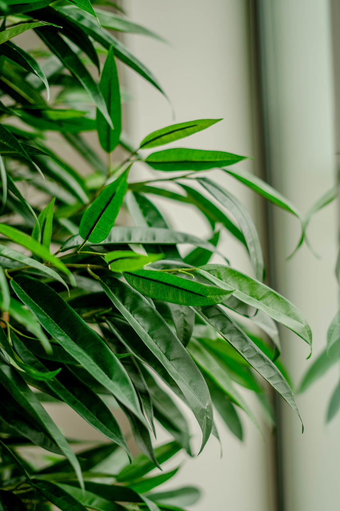 Kunstig plante Longifolia Royaal 150 cm