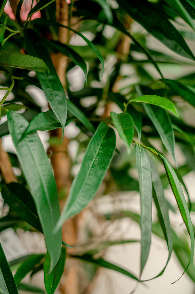 Kunstig plante Longifolia Royaal 150 cm