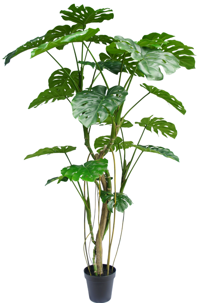 Kunstig Monstera-plante 210 cm