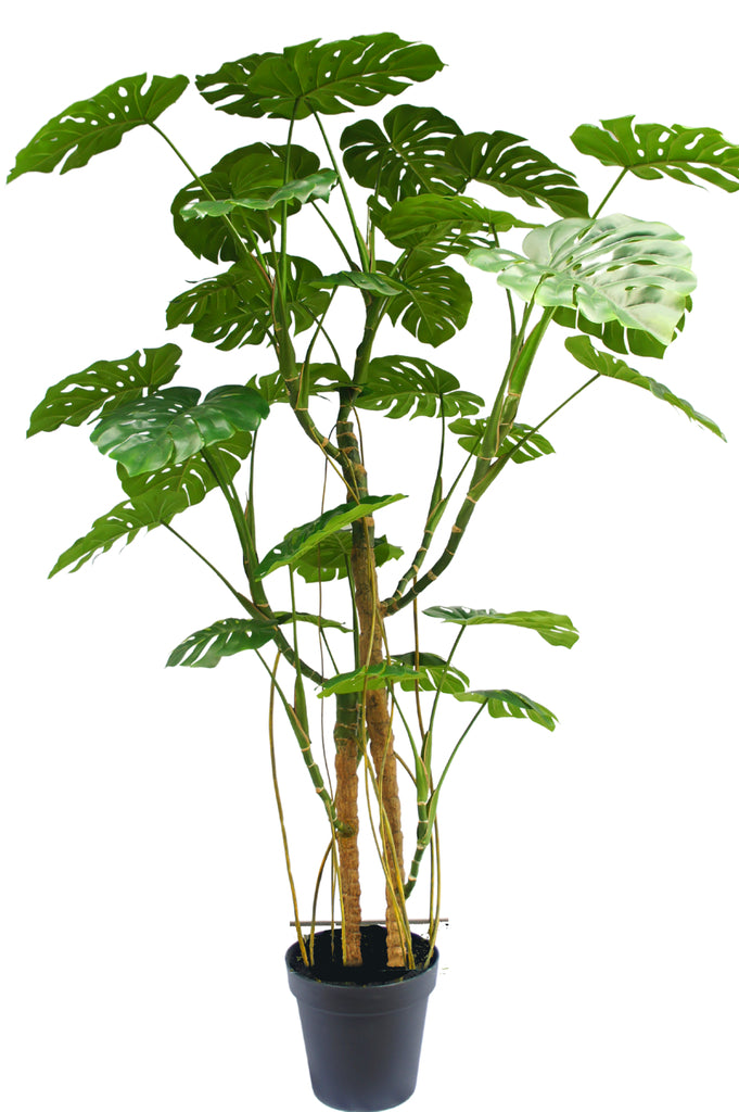 Kunstig Monstera plante 240 cm