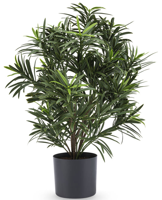 Kunstig plante Podocarpus 47 cm