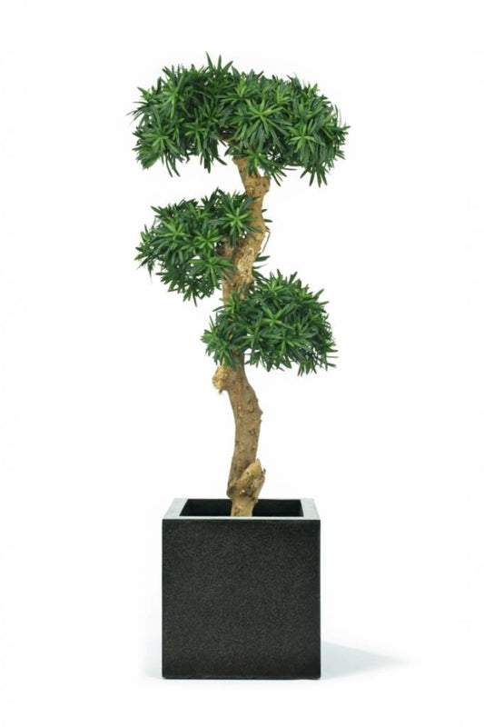 Kunstig Podocarpus Bonsai 140 cm