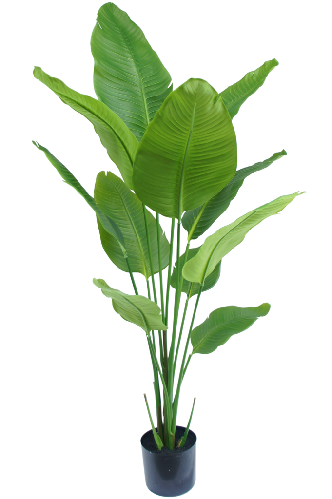 Kunstig plante Strelitzia 150 cm