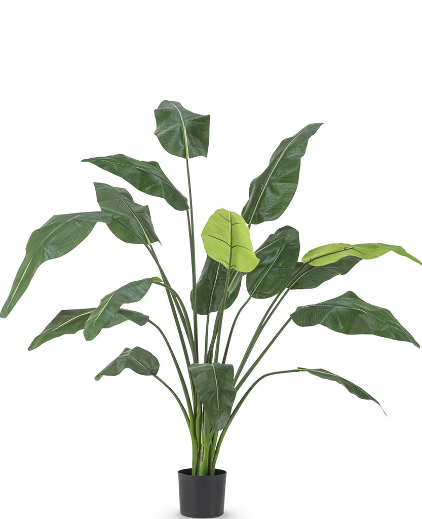 Kunstig plante Strelitzia Deluxe 180 cm