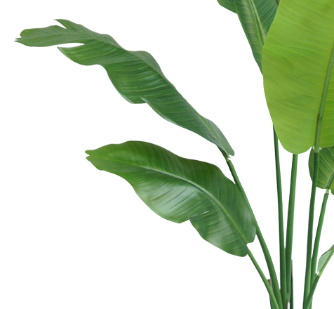 Kunstig plante Strelitzia Nicolai 120 cm