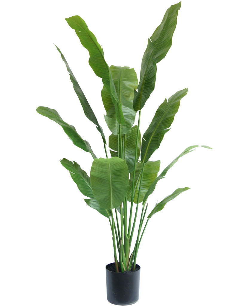 Kunstig plante Strelitzia Nicolai 165 cm