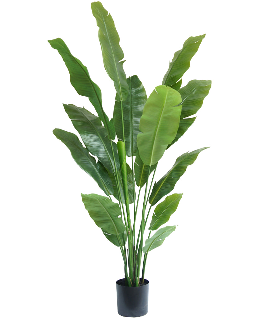 Kunstig plante Strelitzia Nicolai 180 cm