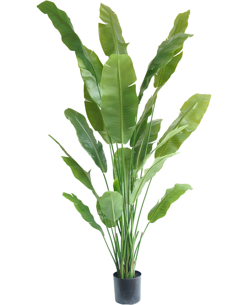 Kunstig plante Strelitzia Nicolai 210 cm