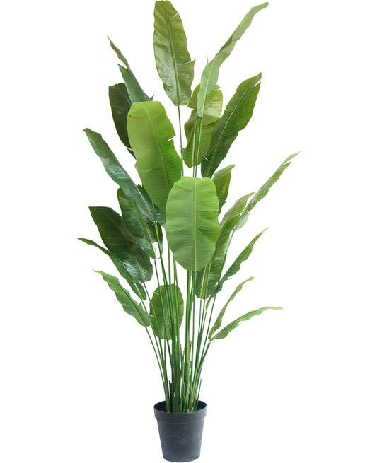 Kunstig plante Strelitzia Nicolai 240 cm