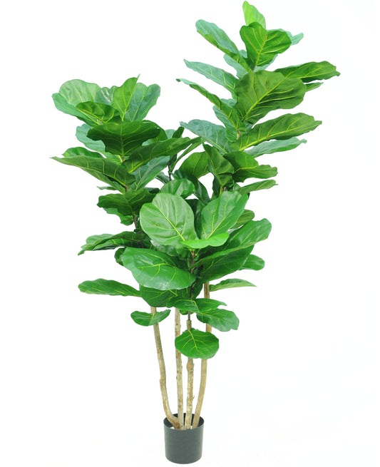 Kunstig Tobaksplante Fiddle Leaf 200 cm