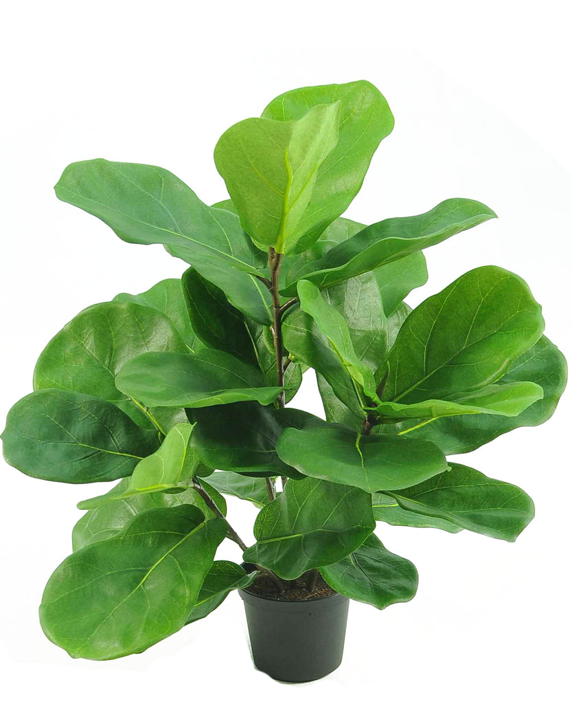 Kunstig Tobaksplante Fiddle Leaf 45 cm